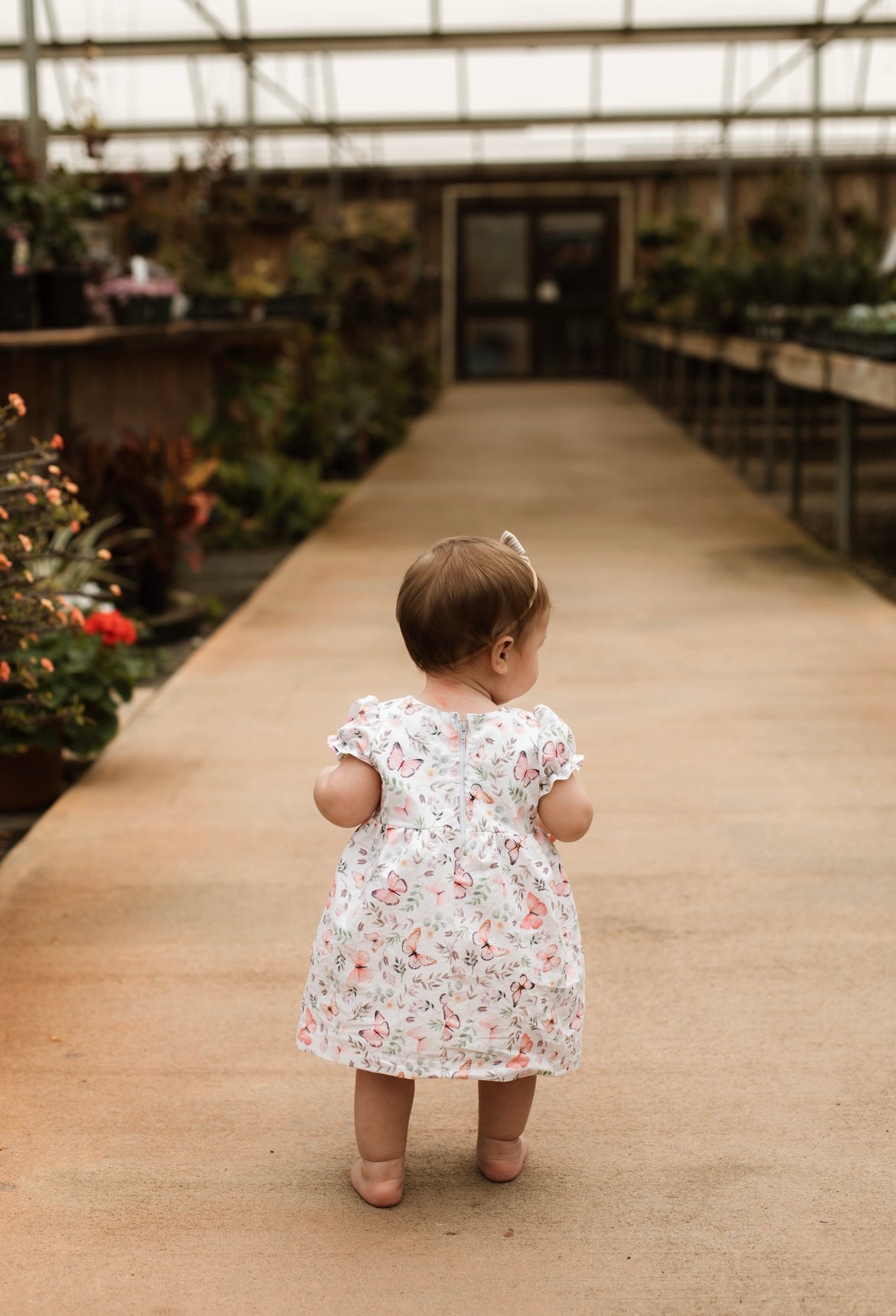 Pink Butterfly Dress